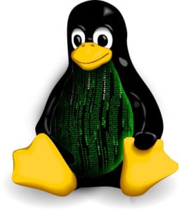 kernel-linux